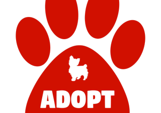 Adoptar