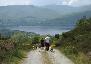 excursiones-caninas