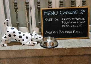 lugares-pet-friendly