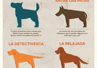 ¿Qué quiere decir tu perro cuando mueve la cola?