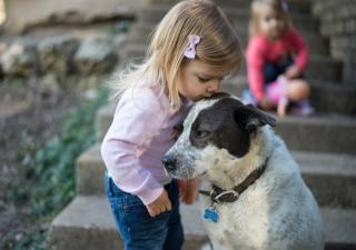 ventajas-de-criar-a-tu-hijo-con-un-perro