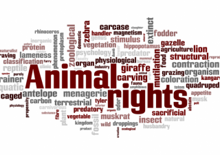 leyes-animales