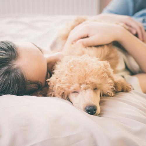 Ventajas de dormir con tu perro
