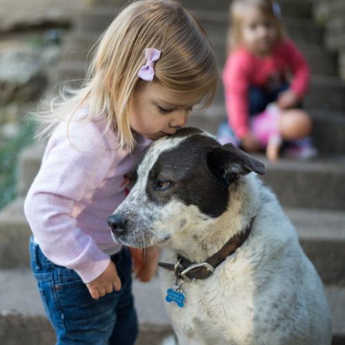 ventajas-de-criar-a-tu-hijo-con-un-perro