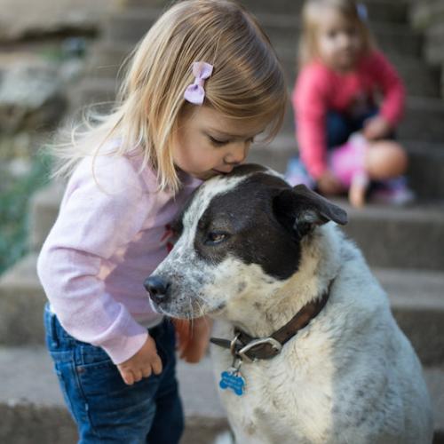 ventajas-de-criar-a-tu-hijo-con-un-perro ventajas-de-criar-a-tu-hijo-con-un-perro