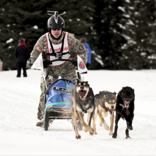 deportes-perros perros-deportes