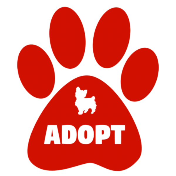 adoptar