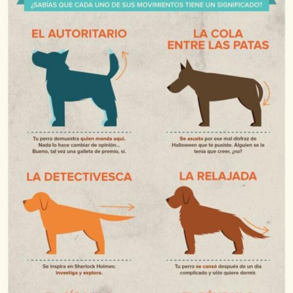 movimietno_cola_de_perro