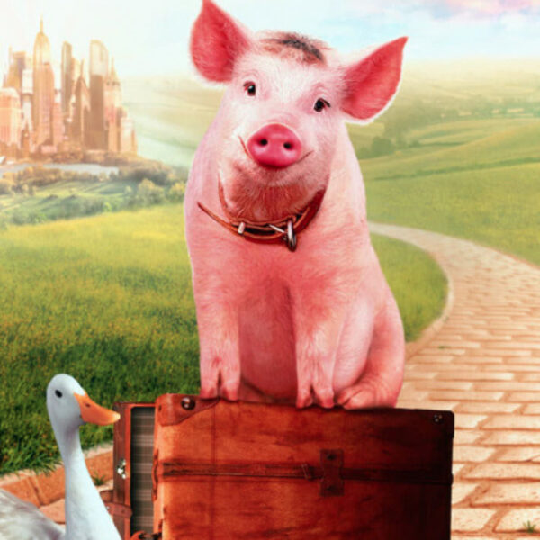 peliculas-sobre-animales