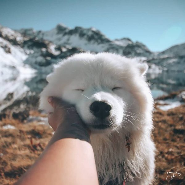 sb-content-hub-TVXxqTtQRONEMg3htKkA_international_hug_day