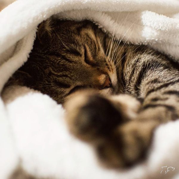 sb-content-hub-WVKCvQuwRbaUTFf4FORj_cute_15